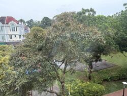 Burgundy Hill (D23), Semi-Detached #500977671